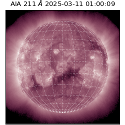 saia - 2025-03-11T01:00:09.633000