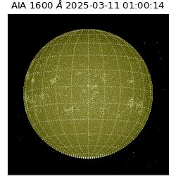 saia - 2025-03-11T01:00:14.126000