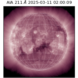 saia - 2025-03-11T02:00:09.632000