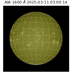 saia - 2025-03-11T03:00:14.126000