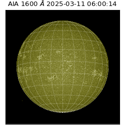 saia - 2025-03-11T06:00:14.126000