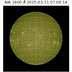 saia - 2025-03-11T07:00:14.126000