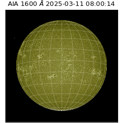 saia - 2025-03-11T08:00:14.125000