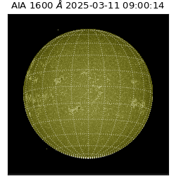 saia - 2025-03-11T09:00:14.126000