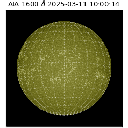 saia - 2025-03-11T10:00:14.122000