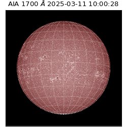 saia - 2025-03-11T10:00:28.717000