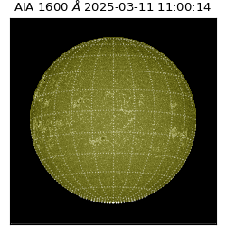 saia - 2025-03-11T11:00:14.126000