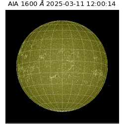 saia - 2025-03-11T12:00:14.125000