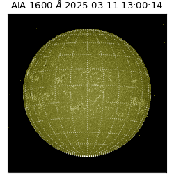 saia - 2025-03-11T13:00:14.126000