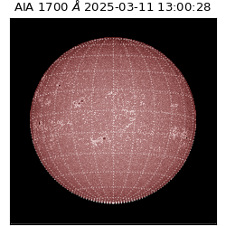 saia - 2025-03-11T13:00:28.717000