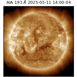 saia - 2025-03-11T14:00:04.843000