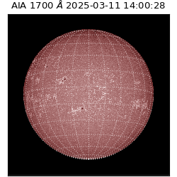 saia - 2025-03-11T14:00:28.717000