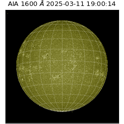 saia - 2025-03-11T19:00:14.126000