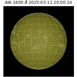 saia - 2025-03-11T20:00:14.134000