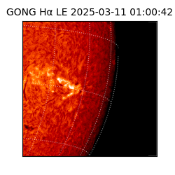 gong - 2025-03-11T01:00:42