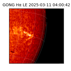 gong - 2025-03-11T04:00:42