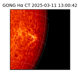 gong - 2025-03-11T13:00:42