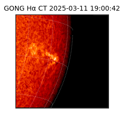 gong - 2025-03-11T19:00:42