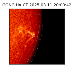 gong - 2025-03-11T20:00:42