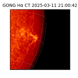gong - 2025-03-11T21:00:42