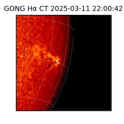 gong - 2025-03-11T22:00:42