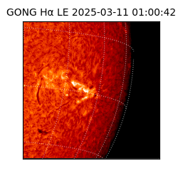 gong - 2025-03-11T01:00:42