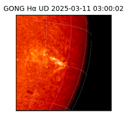 gong - 2025-03-11T03:00:02