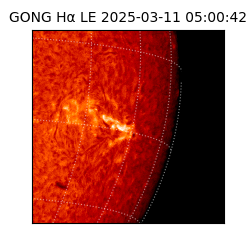 gong - 2025-03-11T05:00:42