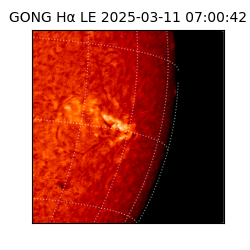 gong - 2025-03-11T07:00:42