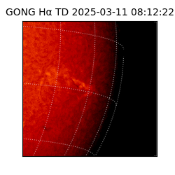 gong - 2025-03-11T08:12:22