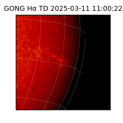 gong - 2025-03-11T11:00:22