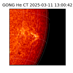 gong - 2025-03-11T13:00:42