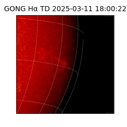 gong - 2025-03-11T18:00:22