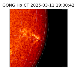 gong - 2025-03-11T19:00:42