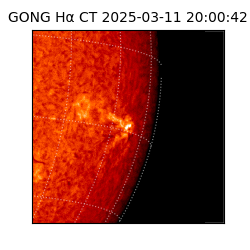 gong - 2025-03-11T20:00:42