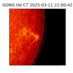 gong - 2025-03-11T21:00:42