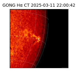 gong - 2025-03-11T22:00:42