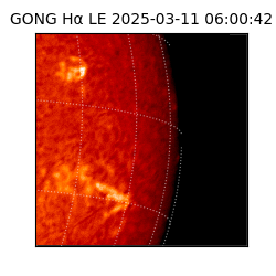 gong - 2025-03-11T06:00:42