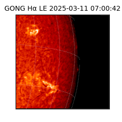 gong - 2025-03-11T07:00:42