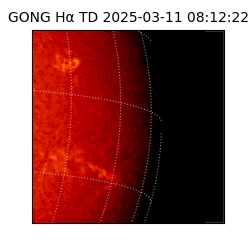 gong - 2025-03-11T08:12:22