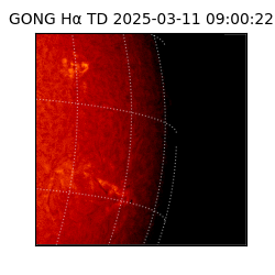 gong - 2025-03-11T09:00:22