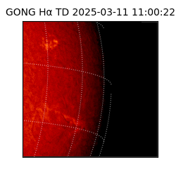 gong - 2025-03-11T11:00:22