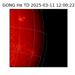 gong - 2025-03-11T12:00:22