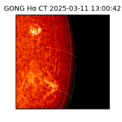 gong - 2025-03-11T13:00:42