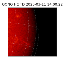 gong - 2025-03-11T14:00:22