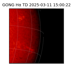 gong - 2025-03-11T15:00:22
