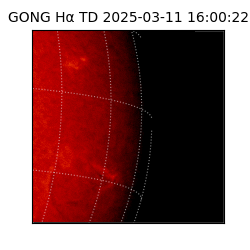 gong - 2025-03-11T16:00:22
