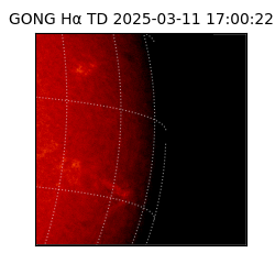 gong - 2025-03-11T17:00:22