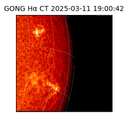 gong - 2025-03-11T19:00:42