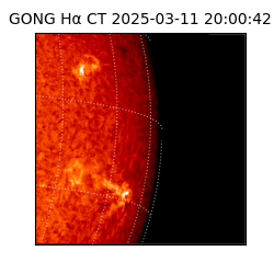 gong - 2025-03-11T20:00:42
